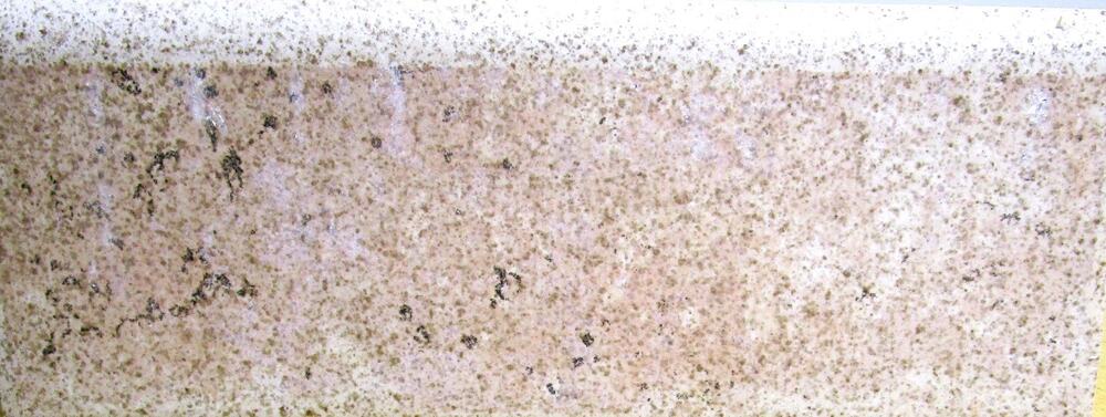 Spanish Gres Monococción Ceramic Tile Brown Tan Speckled 3x8 inches Backsplash